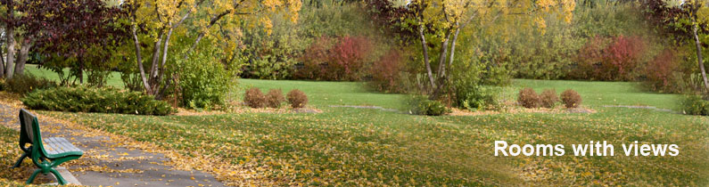 Surrounding Grounds Banner